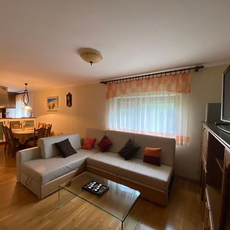 Apartment Tody'S Fužine エクステリア 写真