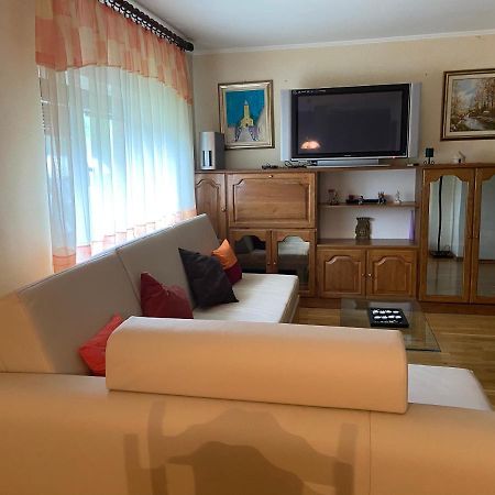 Apartment Tody'S Fužine エクステリア 写真