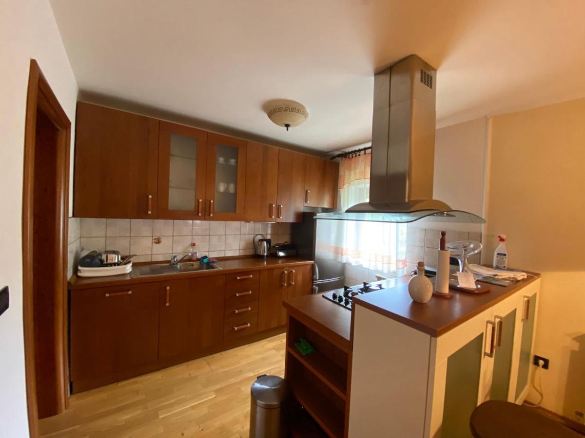 Apartment Tody'S Fužine エクステリア 写真