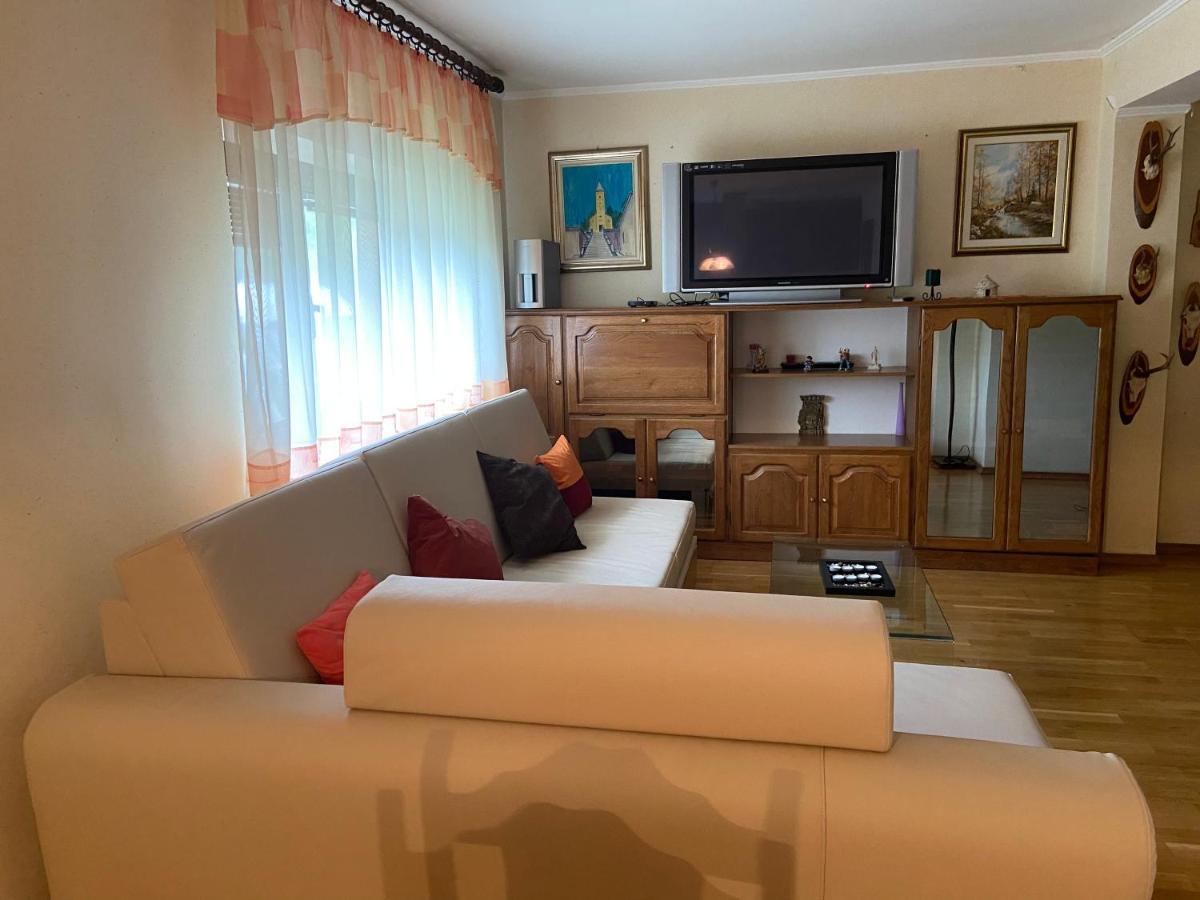 Apartment Tody'S Fužine エクステリア 写真